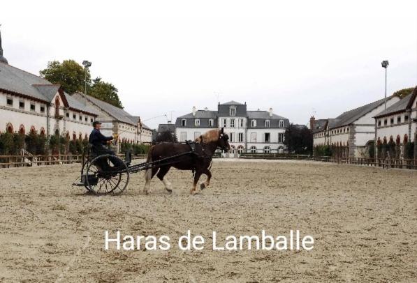 Perle Rare, Appartement Paisible Et Cosy لومبال المظهر الخارجي الصورة